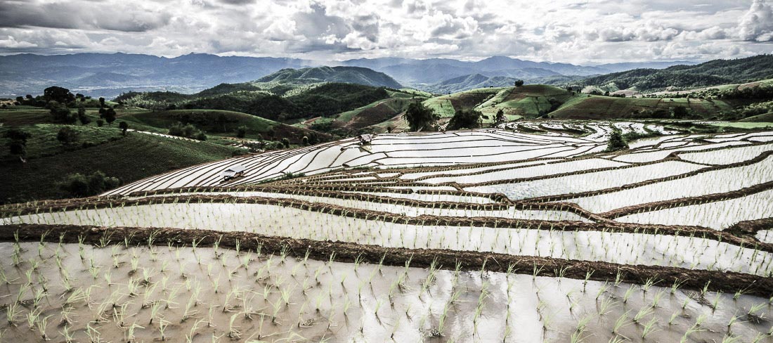 campos-de-arroz-em-chang-rai-tailandia