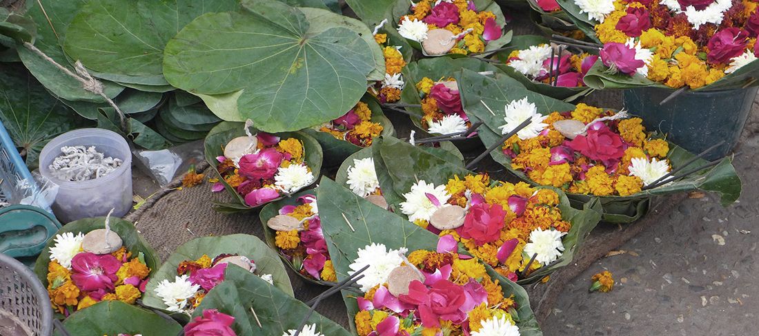 Flores em Rishikesh