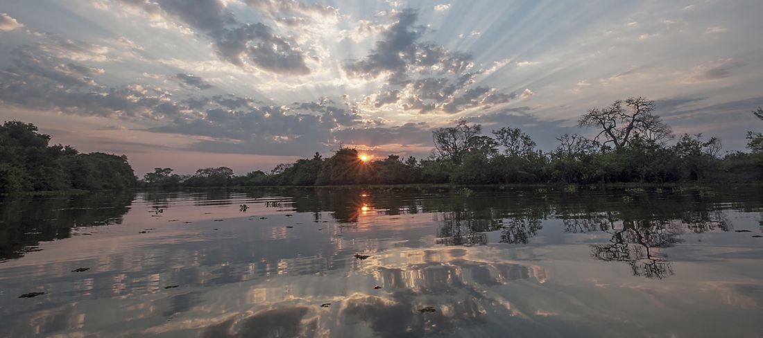Pôr do Sol no Pantanal