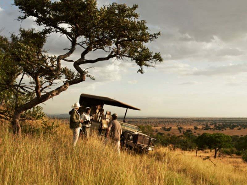 africa-vida-selvagem-safari