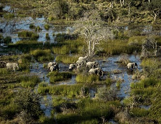 botswana-by-wilderness-safaris
