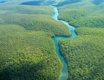 paisagens-amazonicas-anavilhanas