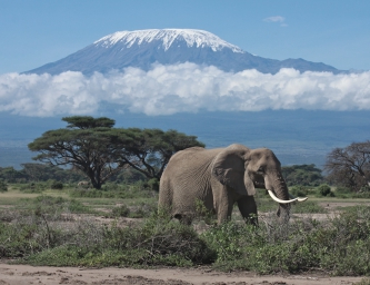 safari-com-estilo-no-quenia